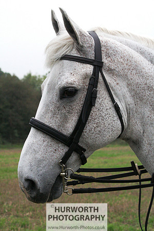 Hurworth Hunt  013