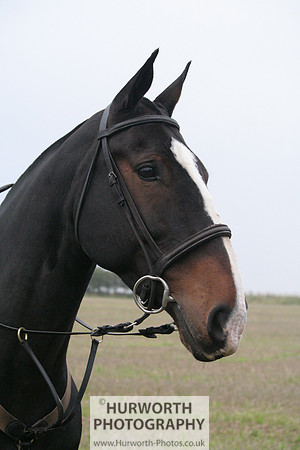 Hurworth Hunt  014