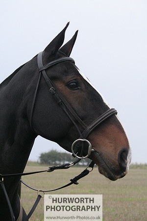Hurworth Hunt  015