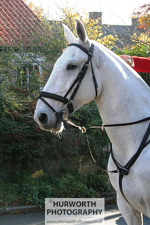 Hurworth 009