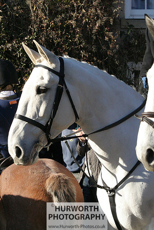 Hurworth 025