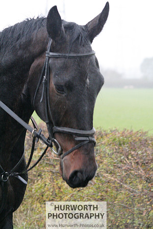 Hurworth Hunt  006