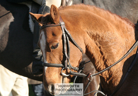 Hurworth 026