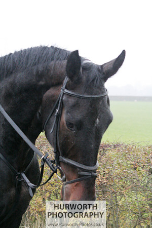 Hurworth Hunt  007