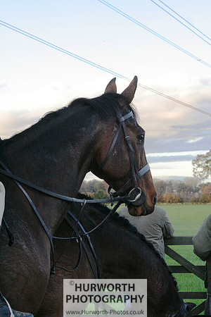 Hurworth 188