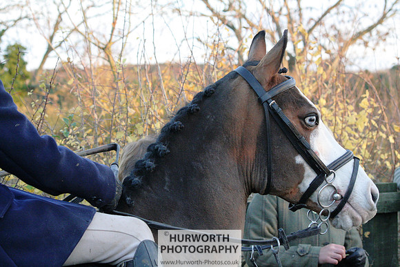 Hurworth 199