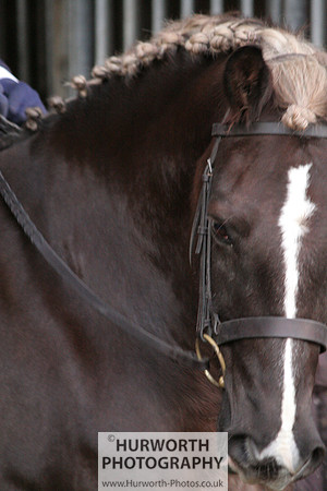 Hurworth 017