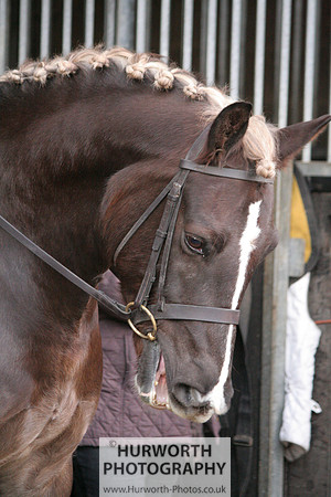 Hurworth 018