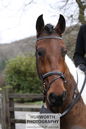 Hurworth 044