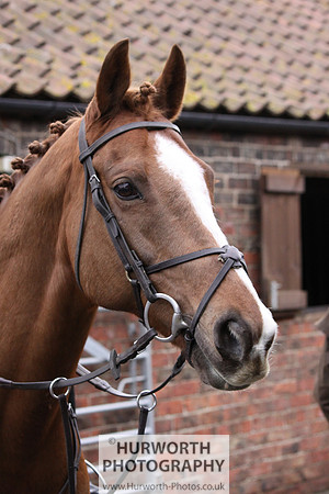 Hurworth 028