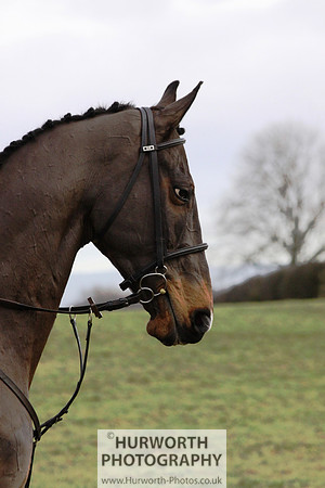 Hurworth 006