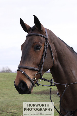 Hurworth 008