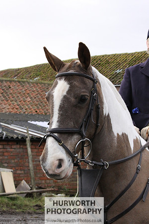 Hurworth 022