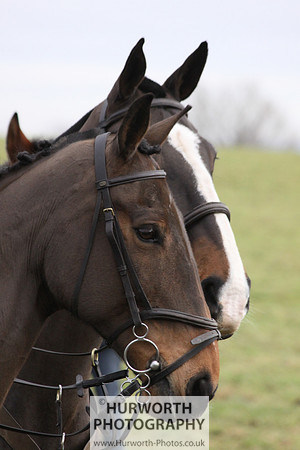 Hurworth 037
