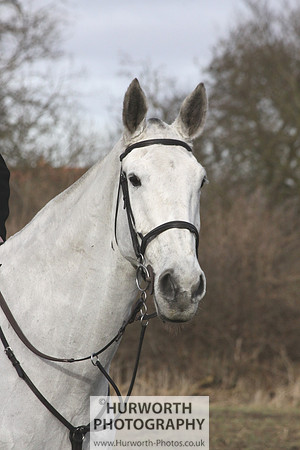 Hurworth 067