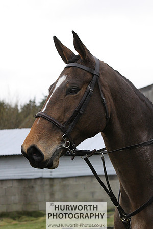 Hurworth 144