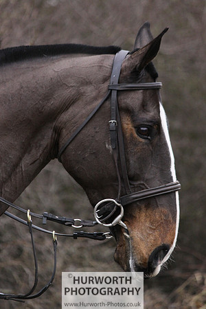 Hurworth 146
