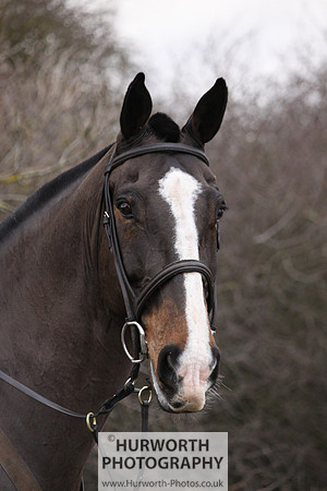 Hurworth 147