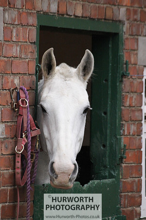 Hurworth 002