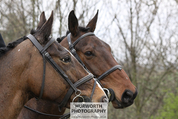Cleveland Hunt 266