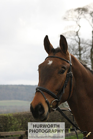 Cleveland Hunt 288