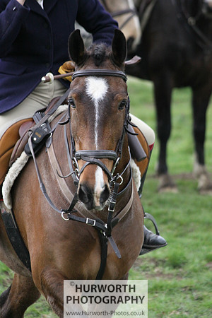 Cleveland Hunt 464
