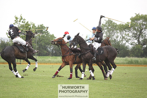 White Rose Polo 021