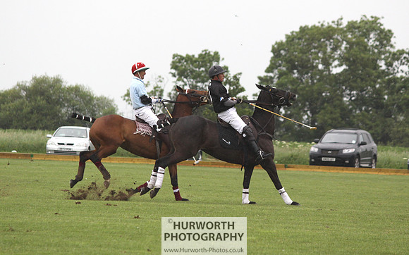 White Rose Polo 019