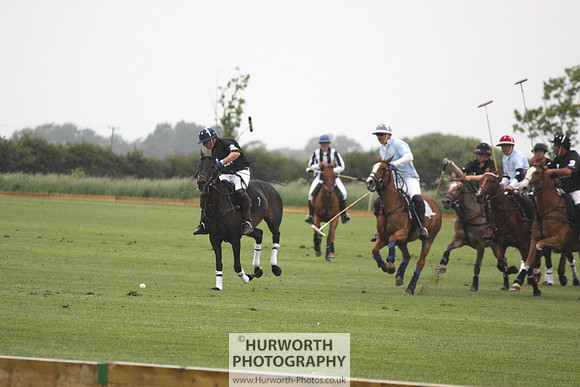White Rose Polo 023