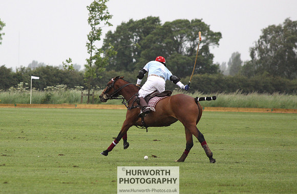 White Rose Polo 025