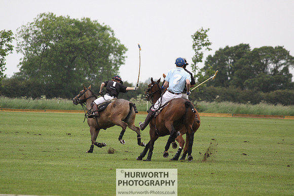 White Rose Polo 026