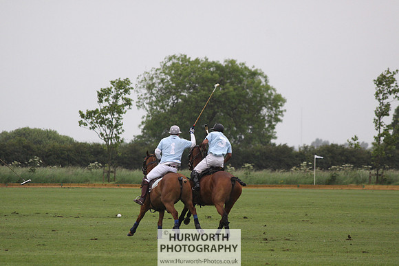 White Rose Polo 027