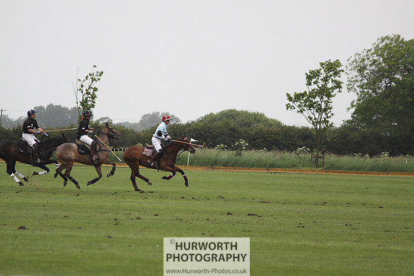 White Rose Polo 028