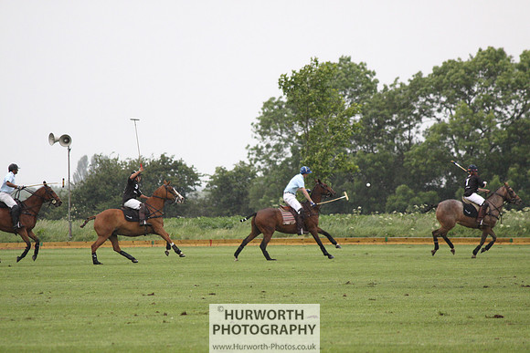 White Rose Polo 029