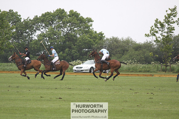 White Rose Polo 030