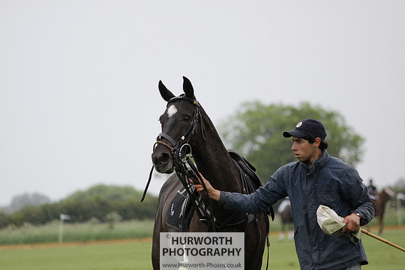 White Rose Polo 031