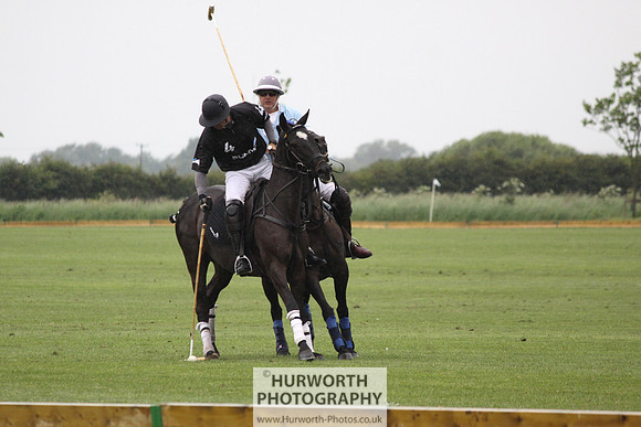 White Rose Polo 036