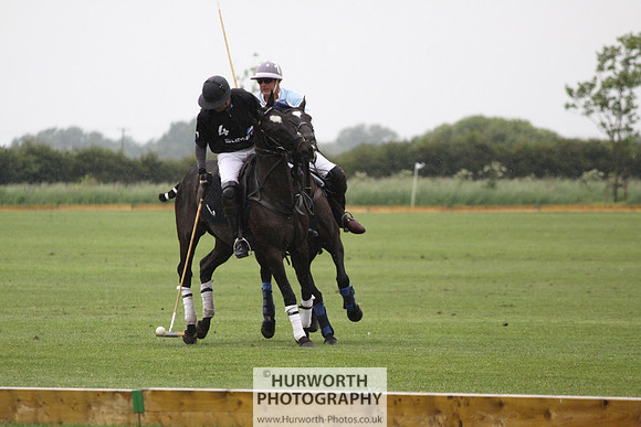 White Rose Polo 037