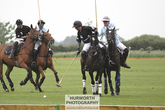 White Rose Polo 038