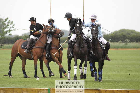 White Rose Polo 039
