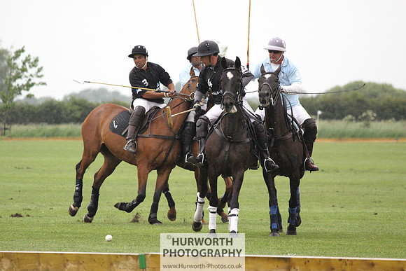 White Rose Polo 040