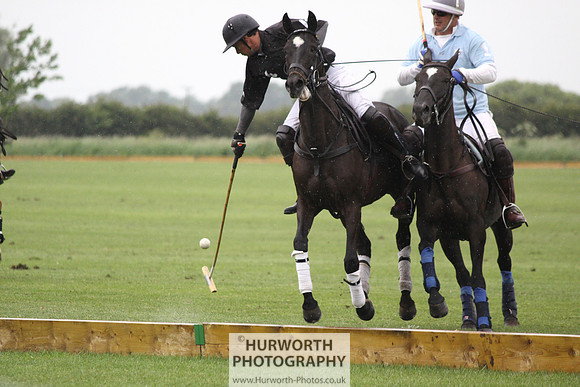 White Rose Polo 041