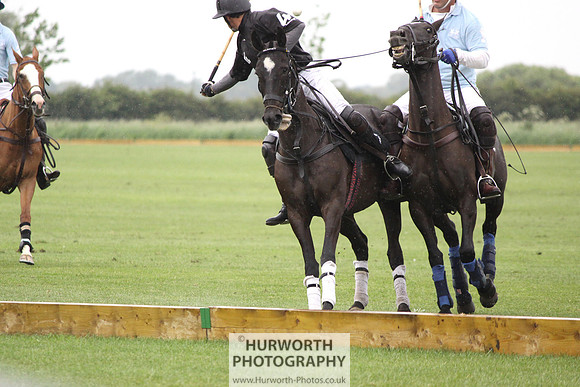 White Rose Polo 042