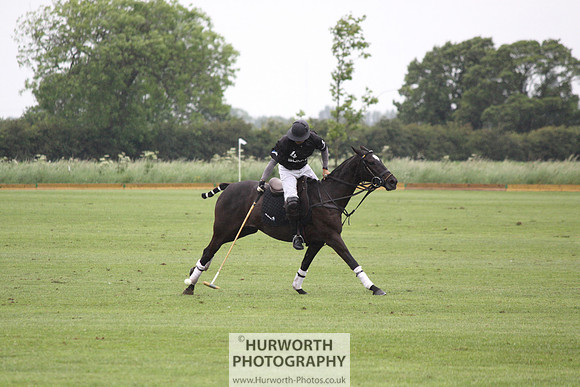 White Rose Polo 044