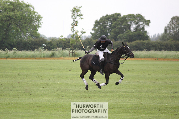 White Rose Polo 045