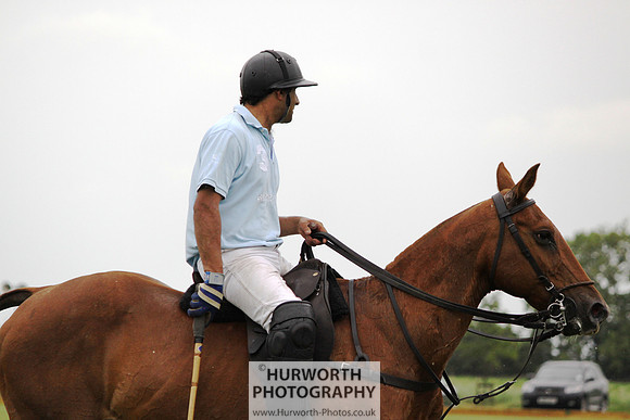 White Rose Polo 056