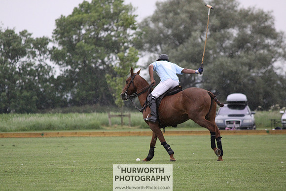 White Rose Polo 057