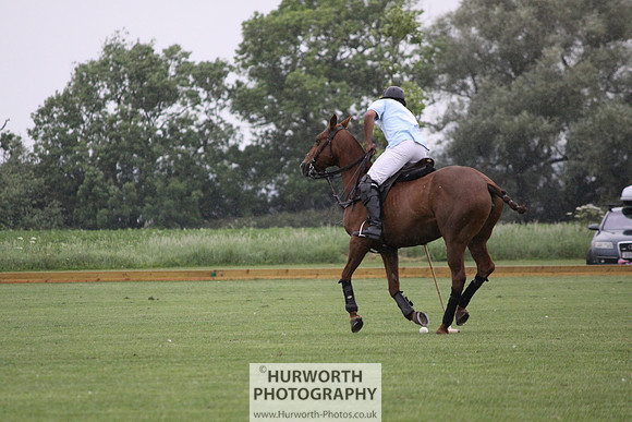 White Rose Polo 058