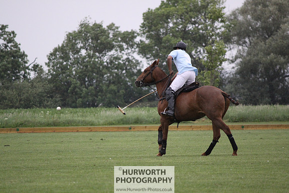 White Rose Polo 059