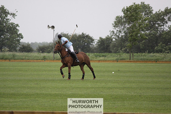 White Rose Polo 060